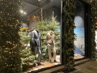 Nordmann kerstboom gezaagd h300 met verlichting 